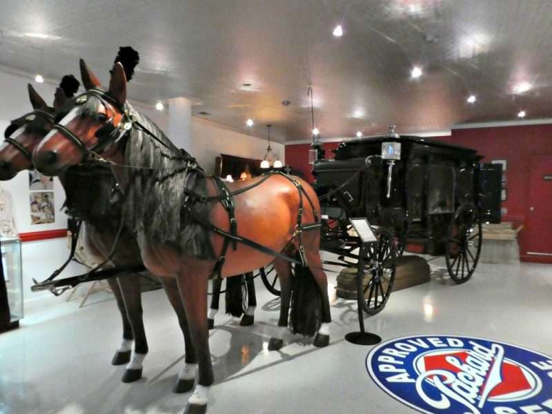 Horse drawn hearse and ambulance