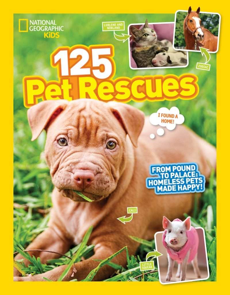 Celebrate National Pet Month with these Fun Books