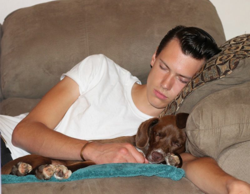 Kyle and Duke sleeping on the couch.