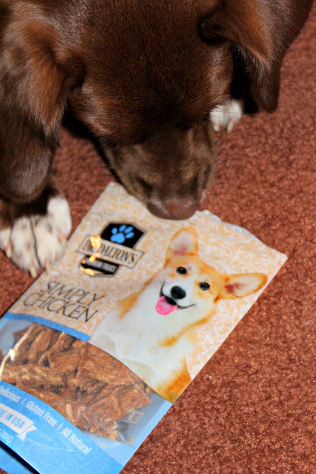 Train your Puppy with Dr. Dalton's Premium Treats