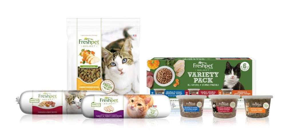 October 29th is Cat Day and Freshpet Has Great News for Cat Shelters