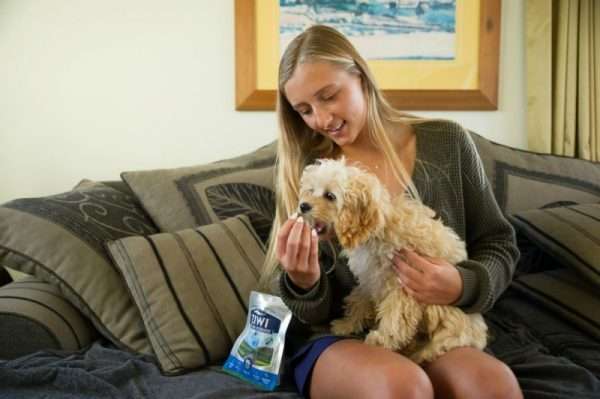 Your pet will love Ziwi treats so be sure to take them when you travel with your pets during the holidays