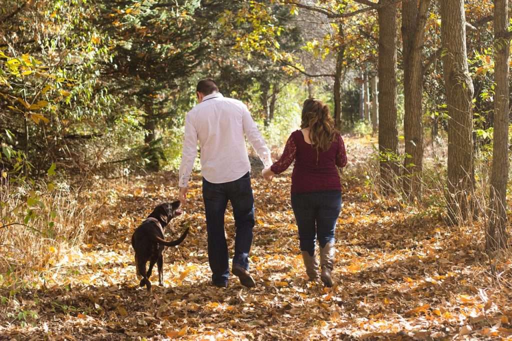 Make Your Dog's Safety and Health a Priority by Walking Your Dog