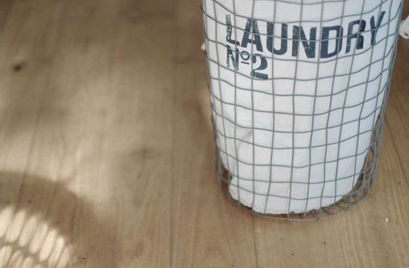 How to Keep Bedbugs Away from your Laundry