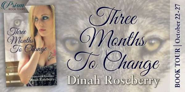 Three Months to Change by Dinah Roseberry Blog Tour