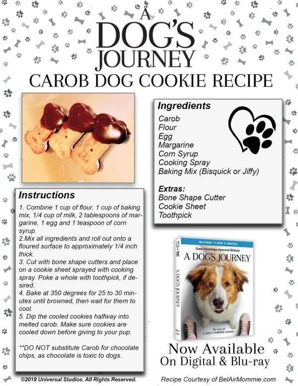 A Dog's Journey Dog Cookie Recipe