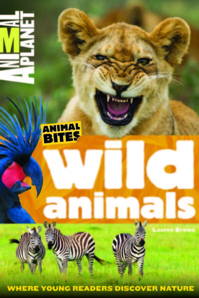 Animal Planet Animal Bites Wild Animals