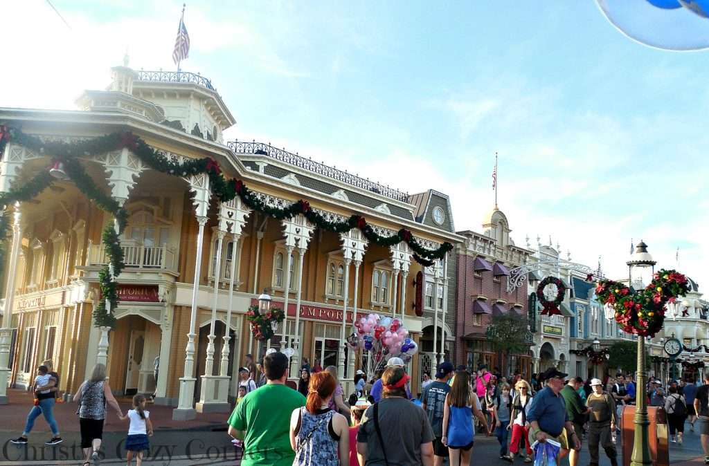 The Magic Kingdom and Epcot in One Day