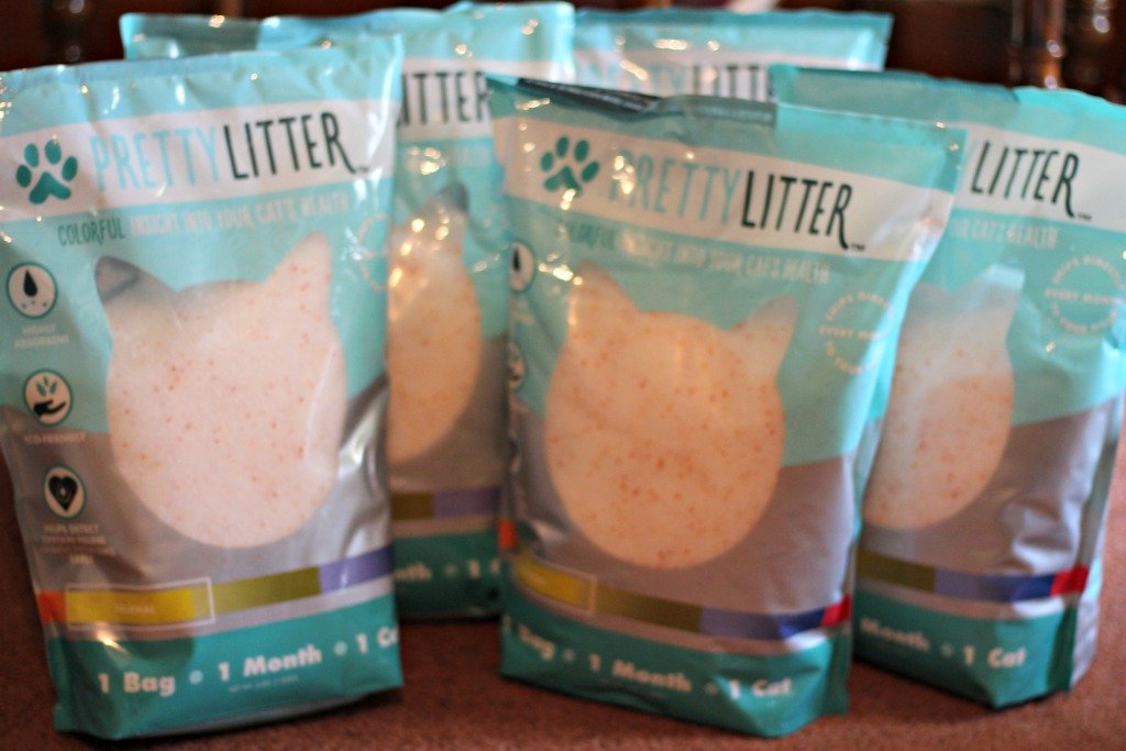 absorb smell to how urine PrettyLitter Your Cat's Cozy Christy's Health   Monitors