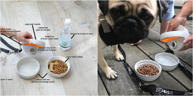 Traveling During the Holidays With Your Pets and Sit, Stay, Go