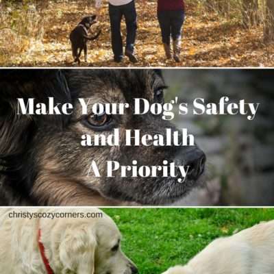 Make Your Dog’s Safety and Health a Priority