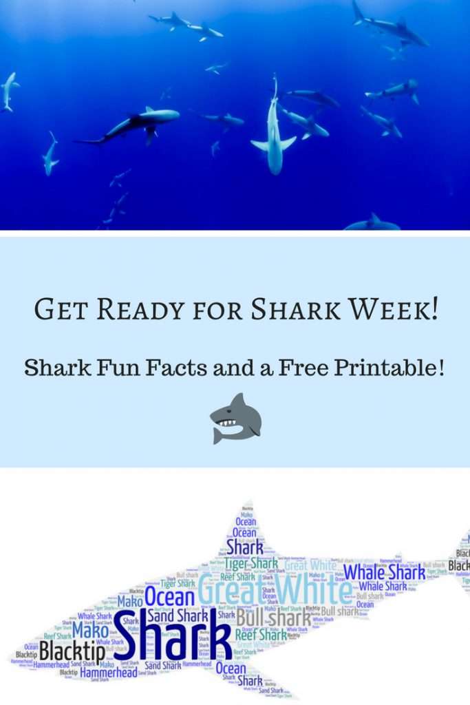 Get Ready for Shark Week 2018! Shark Fun Facts and a Shark Printable