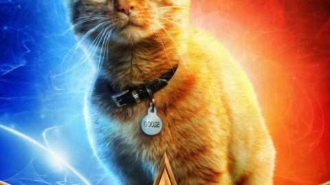 Goose in Captain Marvel