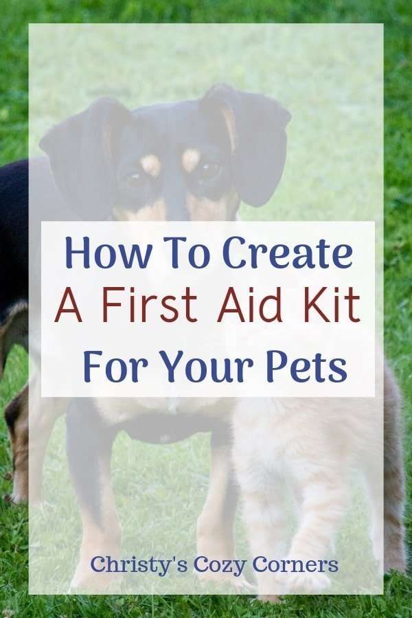 First Aid Kit for Pets and Preparing for Disasters and Emergencies
