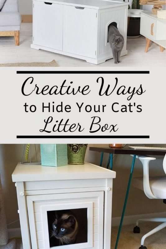 How to Hide Your Cat's Litter Box - Christy's Cozy Corners