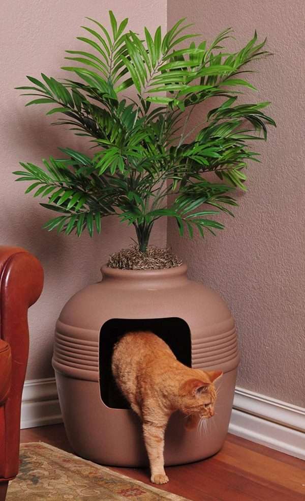 How to Hide Your Cat's Litter Box - Christy's Cozy Corners